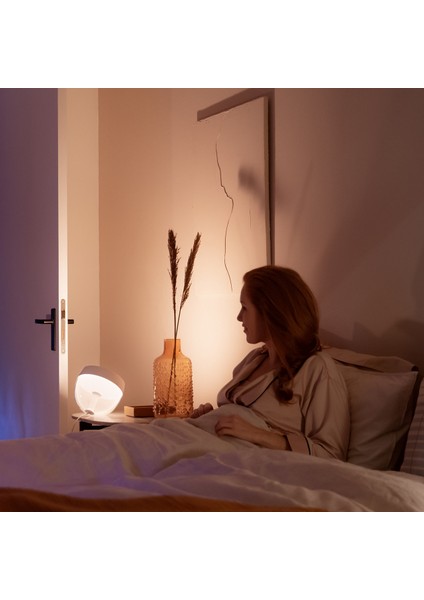 Hue Iris Özel Seri Rose 929002376301 indirimleri