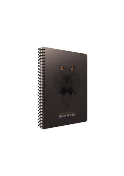 GIPTA SPİRALLİ 80 YP KARELİ DEFTER