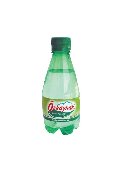 Maden Suyu Pet Şişe 250 ml