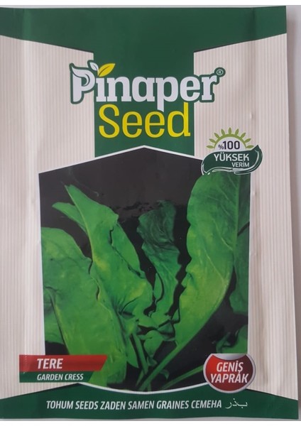 Pinaper Seed Tere (Geniş Yaprak ) Tohumu 1 Paket