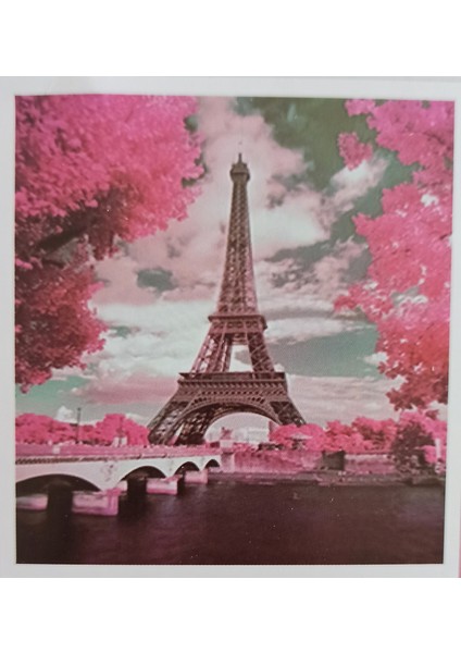 5D Boncuklu Taşlı Mozaik Elmas Goblen Pano Tablo Resim Puzzle 50 x 40 cm