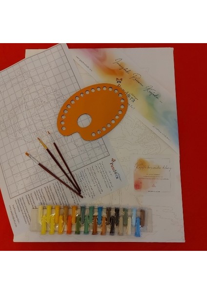 N1007 Kaplan Kasnağa Gerili Numaralı Boyama Seti 40 x 50 cm modelleri