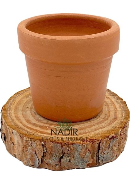 El Yapımı 8.5 cm Seramik Saksı fiyatları