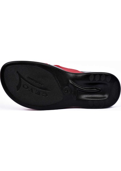 Kadın Terlik 3400-2-21Y fırsatları