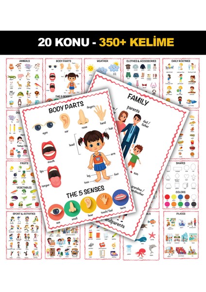 Eğitici 20 Konu 350 + Kelime Ingilizce Türkçe Ilk Kelimelerim Görsel Hafıza Poster Seti 24 x 33 cm 20'li