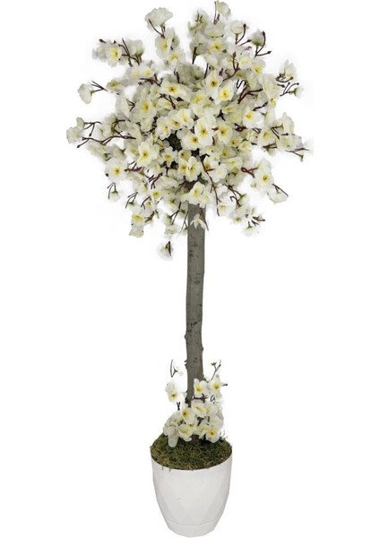 Yapay Ağaç Bahar Dalı Japon Kiraz Çiçeği Beyaz Plastik Saksılı 90 cm Beyaz modelleri