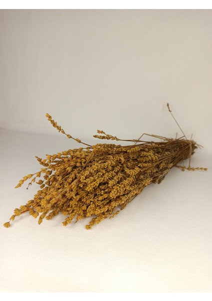 Uru Çiçek Kokulu Şoklanmış Dökülmeye Dayanıklı Gerçek Lavanta Demeti