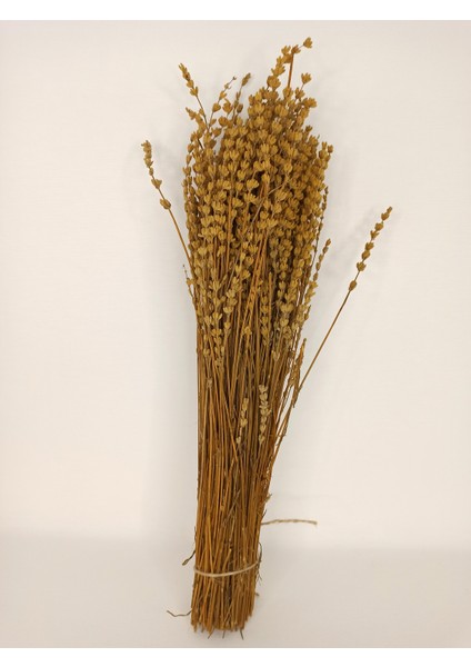 Uru Çiçek Kokulu Şoklanmış Dökülmeye Dayanıklı Gerçek Lavanta Demeti fiyatları