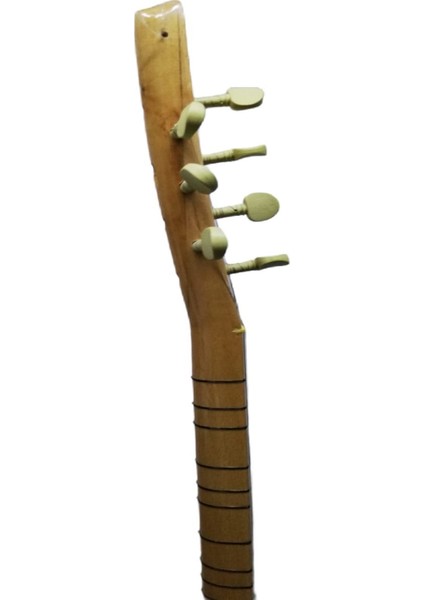 Uzun Sap Bağlama Dut