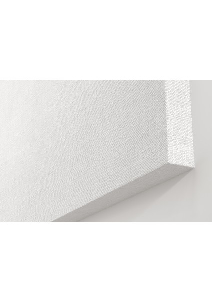 Taş ve Tüy Denge Kanvas Tablo 75 x 50CM modelleri