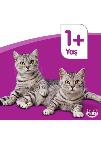 Whıskas® Sığırlı (Biftekli) Kuru Kedi Maması 1+ Yaş 300 Gram (14 Adet)