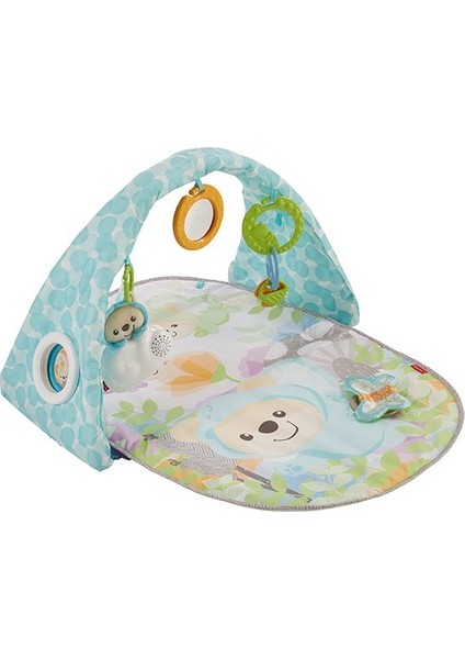 DYW46 Fp Kelebekli Rüyalar Müzikli Jimnastik Merkezi /fisher-Price