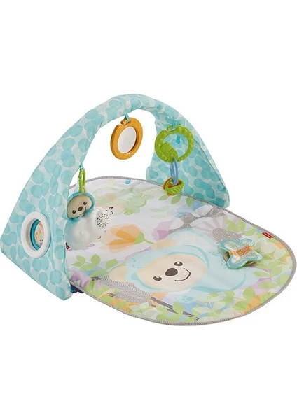 DYW46 Fp Kelebekli Rüyalar Müzikli Jimnastik Merkezi /fisher-Price