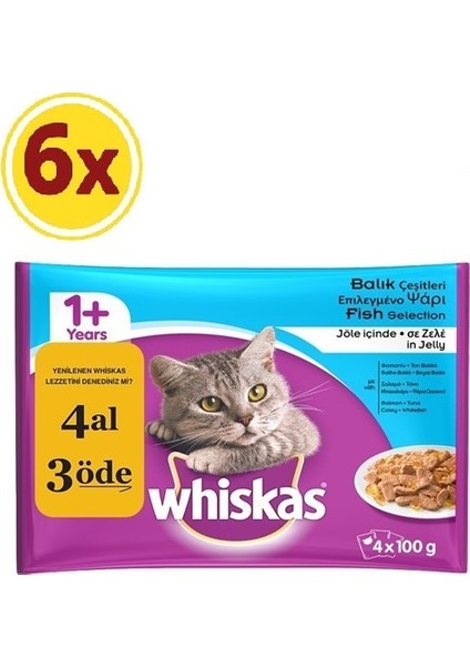 Konserve Kedi Mamasi Balikli Çeşitler Pouch Multipack 4X100 gr x 6 Paket