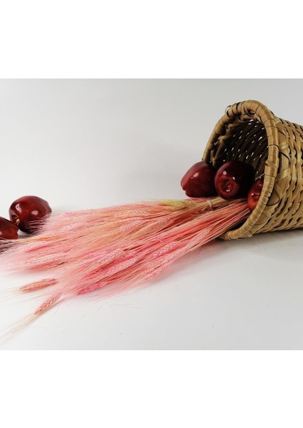Kuru Çiçek Doğal Pembe Başak 35GRAM 1. Kalite Şoklanmış Bozulmaz