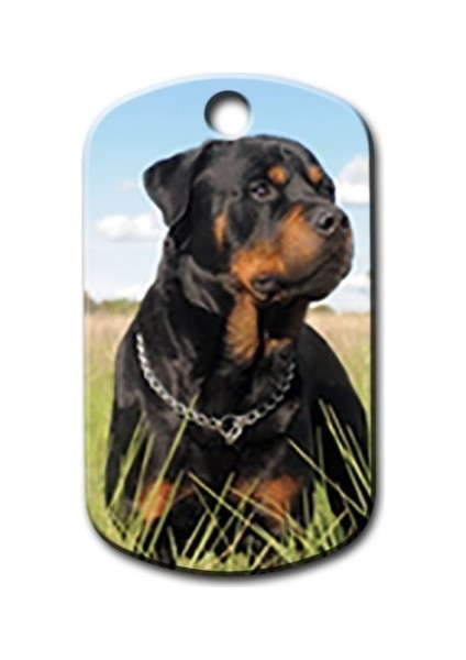 Rottweiler Resimli Köpek Künyesi Large