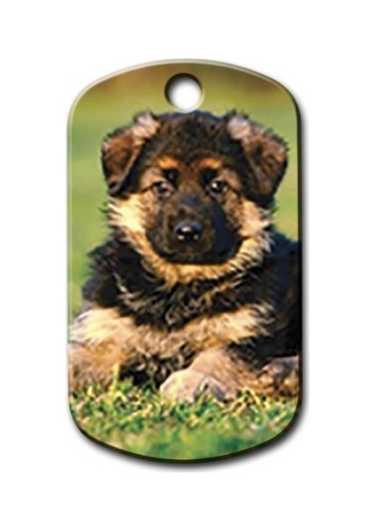 Yavru Alman Kurdu Resimli Köpek Künyesi Small