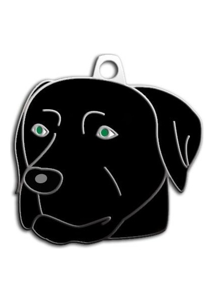 Black Labrador Köpek Künyesi