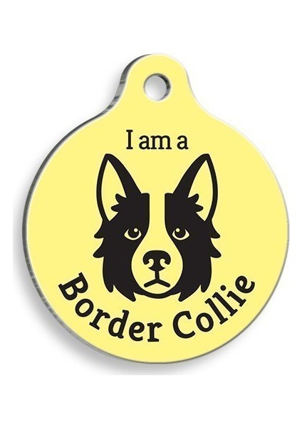 Pet Tag Art Sarı Border Collie Yuvarlak Köpek Künyesi Small: 2,5 Cm.