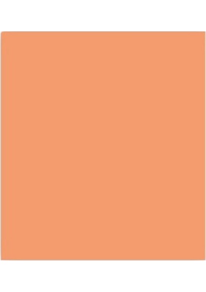 Fon Kartonu 160 gr 50 x 70 cm Somon