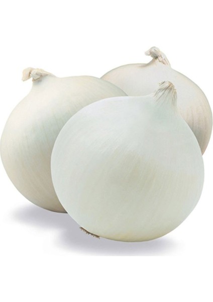 Soğan Beyaz 1 kg