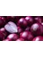 Murat Tohum Süper Paket Hafif Acı Mor Soğan Tohumu 1500 Adet Tohum 4