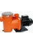 Havuz Pompası 0,75 Hp 220 Volt 1