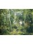 Yeşil Orman ve Hayvan Kanvas Tablo 1
