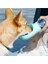 Taşınabilir Kedi Köpek Suluğu Seyahat Su Şişesi Kaseli Emniyetli Sızdırmaz Kutulu 350ML 2