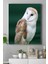 Baykuş Hayvan Kanvas Tablo 2 21 x 30 cm 1