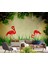 Flamingo Desenli Duvar Kağıdı 1