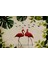Flamingo Desenli Duvar Kağıdı 2