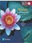 Biology: A Global Approach, Global Edition 1