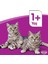 Whıskas® Sığırlı (Biftekli) Kuru Kedi Maması 1+ Yaş 300 Gram (14 Adet) 2