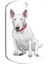 Bull Terrier Resimli Köpek Künyesi Small 2 x 3,5 cm 1