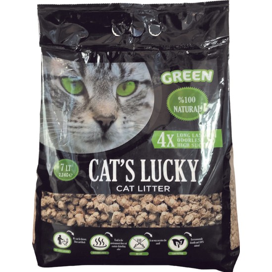 Cat's Lucky Kedi Kumu