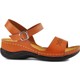  Renk Camel