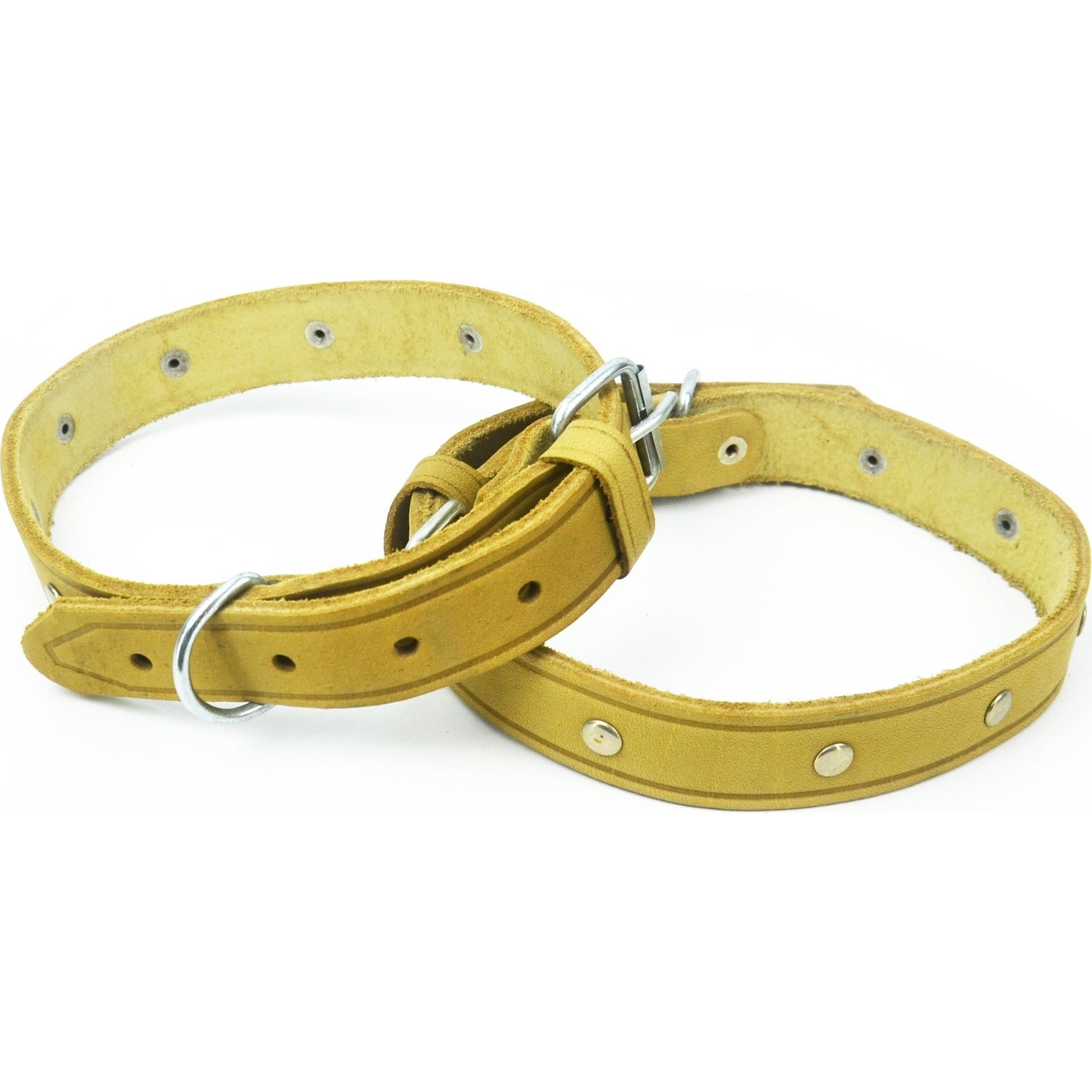 Bayz 60 cm Köpek Tasması Sağlam Golden, Labrador, Sibirya, Fiyatı