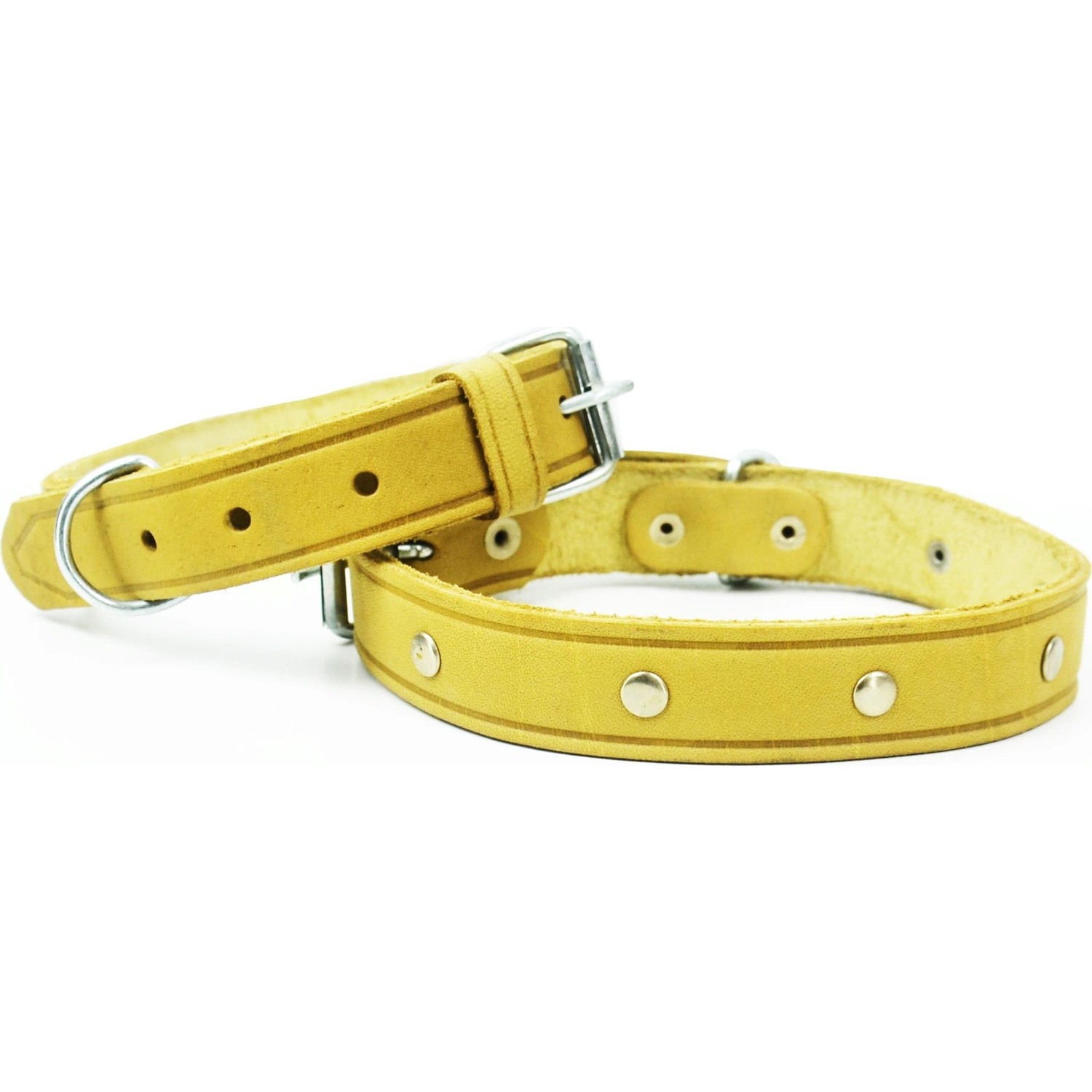 Bayz 60 cm Köpek Tasması Sağlam Golden, Labrador, Sibirya, Fiyatı