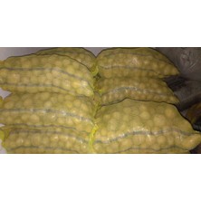 Cegel Ziraat Melody Patates Tohumu 25 kg