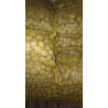 Cegel Ziraat Melody Patates Tohumu 25 kg