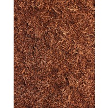 Levant Tarsol Cocopeat Yüksek Kalite 20 Lt