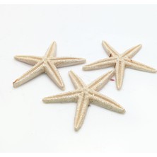 LORA DAVET Beyaz Deniz YILDIZI BEYAZ 16635