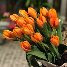 Tacirdepoticaret Ateş Turuncu Orange Cassini Lale Soğanı (5 Adet)