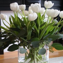 Tacirdepoticaret White Heaven Kuğu Lale Soğanı (5 Adet)