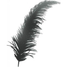 Hayaller Dükkanı Tüy Siyah P100