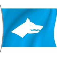 Rekbay Göktürk Bayrağı Yatay Model 70 x 105 cm