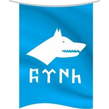 Rekbay Göktürk Flaması Bayrağı Dikey Model 70 x 105 cm