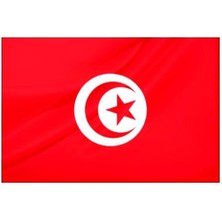 Rekbay Tunus Ülke Bayrağı Parlak Kumaş 100 x 150 cm