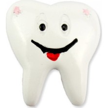 Hayaller Dükkanı 20 Adet Diş Polyester Pembe Pk:1